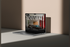 Online Strategy and Consulting for LEMA